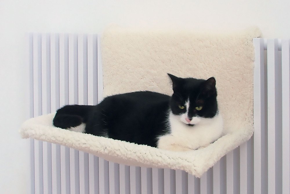 CAT RADIATOR BED