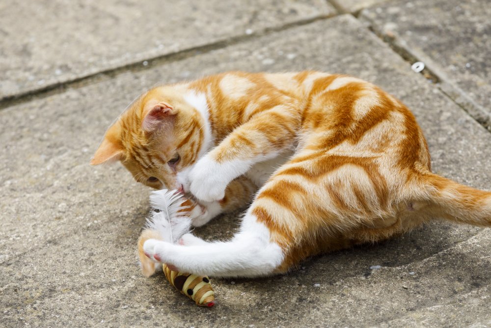 CATKINS SISAL MOUSE CAT TOY
