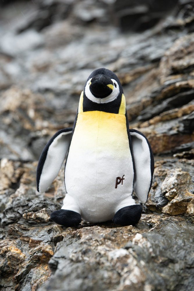 PETFACE PLANET PANUK PENGUIN PLUSH DOG TOY