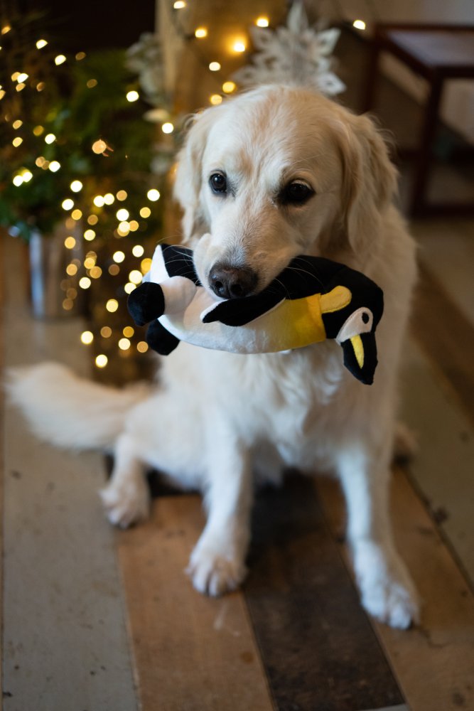 PETFACE PLANET PANUK PENGUIN PLUSH DOG TOY