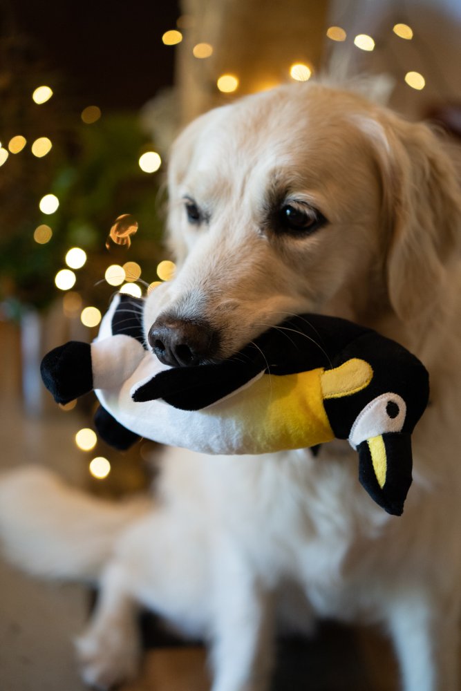 PETFACE PLANET PANUK PENGUIN PLUSH DOG TOY