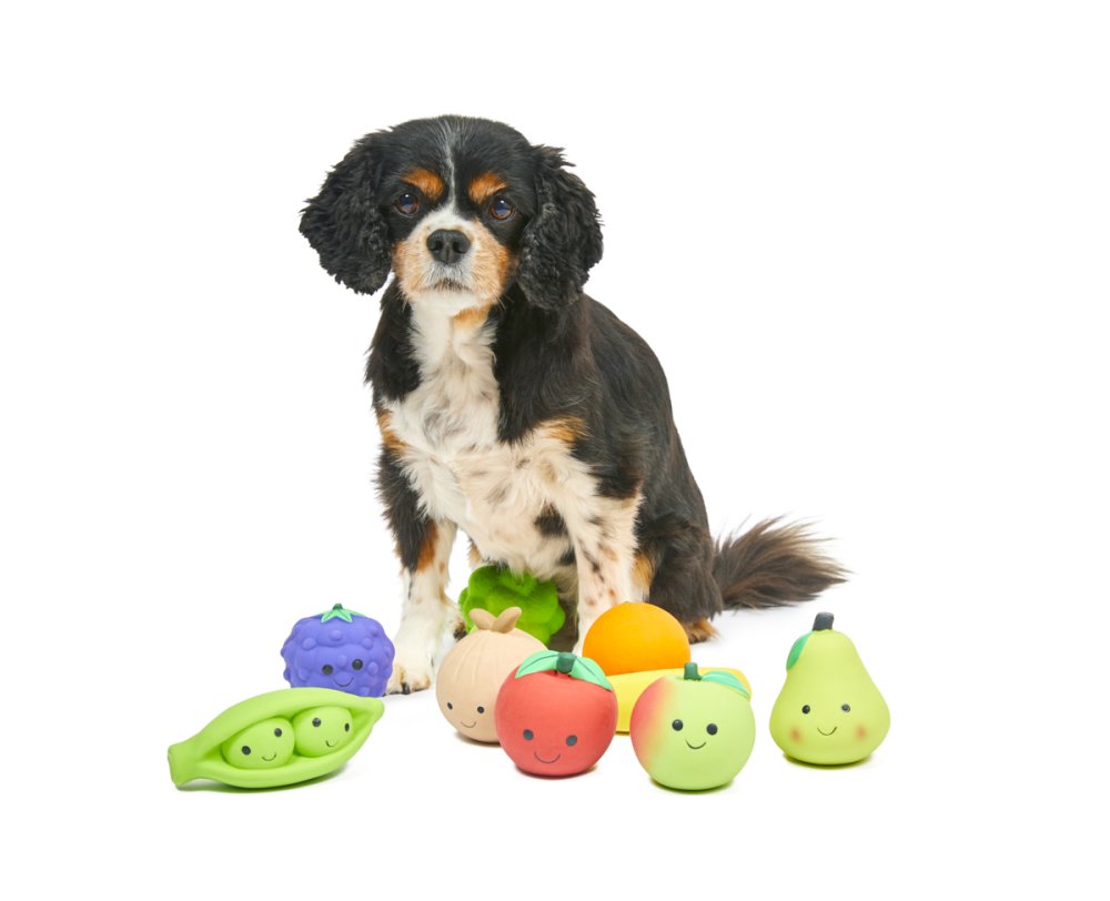 FOODIE FACES LATEX APPLE DOG TOY SML