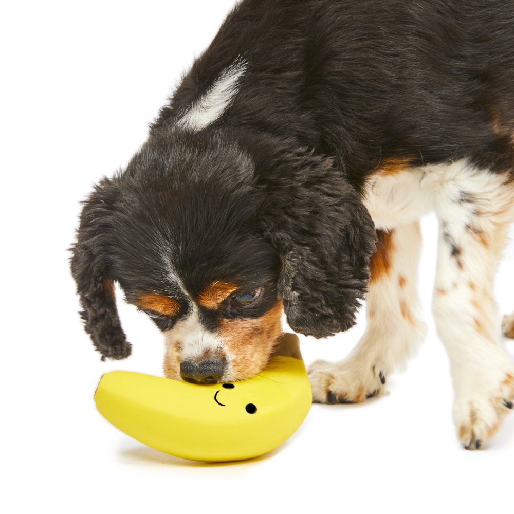 FOODIE FACES LATEX BANANA DOG TOY SML