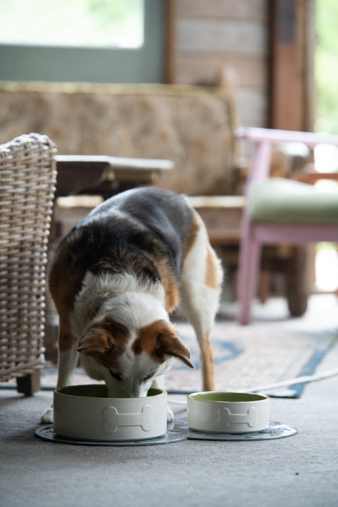 BONE CERAMIC BOWL CREAM/GREEN 15CM
