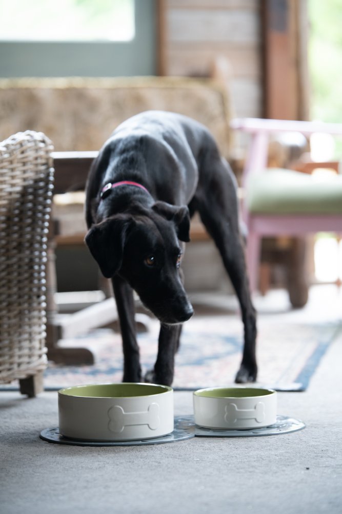 BONE CERAMIC BOWL CREAM/GREEN 15CM