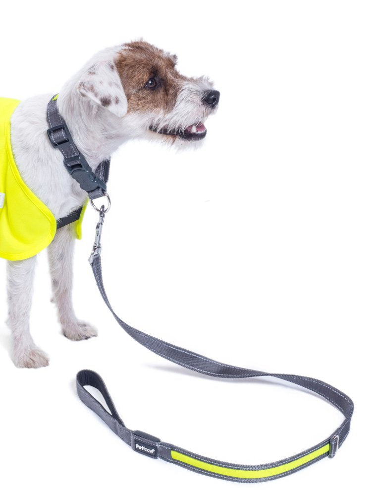 REFLECTIVE FLASHING YELLOW DOG COLLAR SML