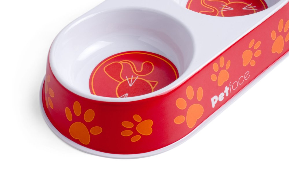 DOUBLE CAT BOWL