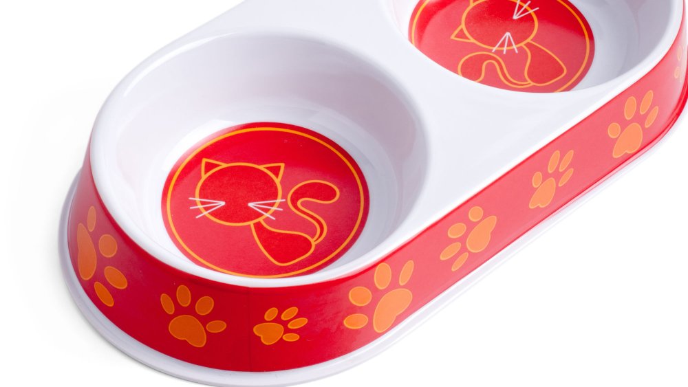 DOUBLE CAT BOWL