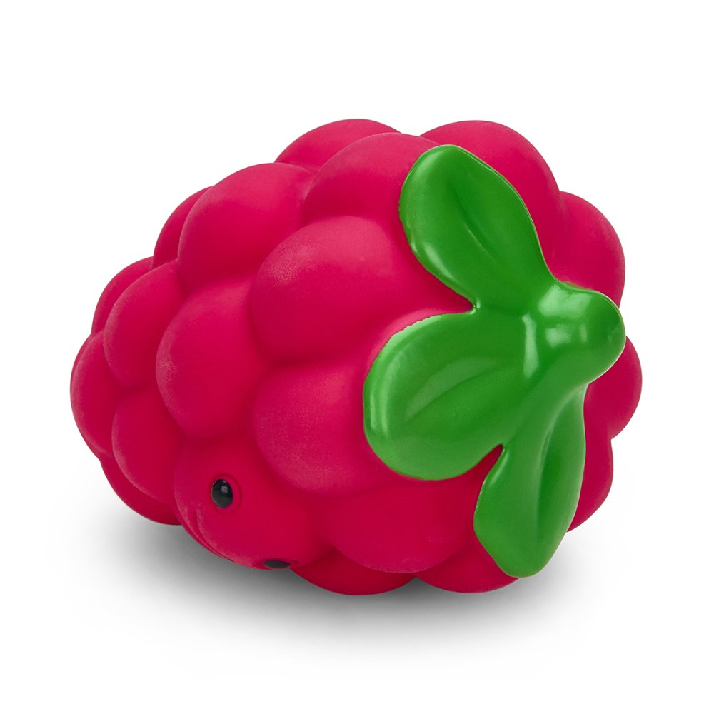 FOODIE FACES LATEX RASPBERRY DOG TOY SML