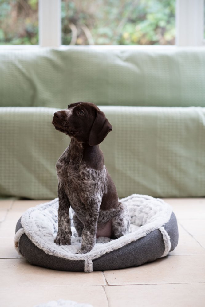 GRAPHITE GREY FELT DONUT PET BED