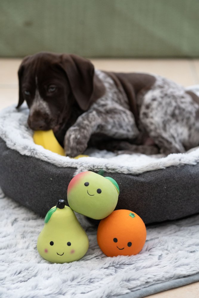 FOODIE FACES LATEX PEAR DOG TOY SML