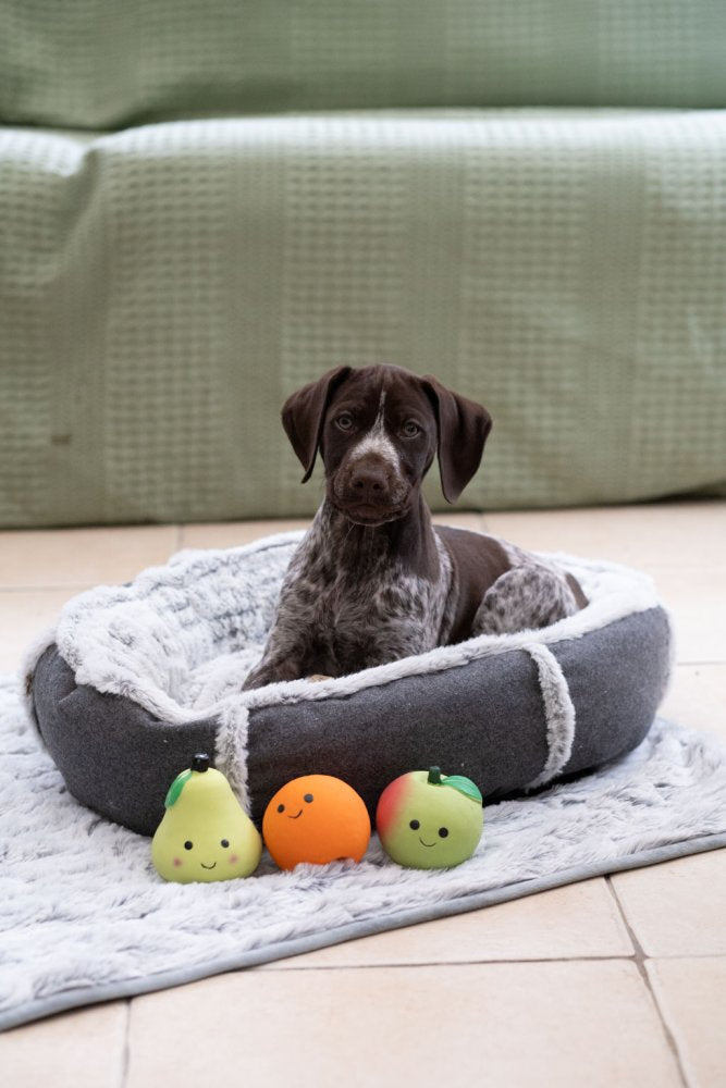 FOODIE FACES LATEX PEAR DOG TOY SML