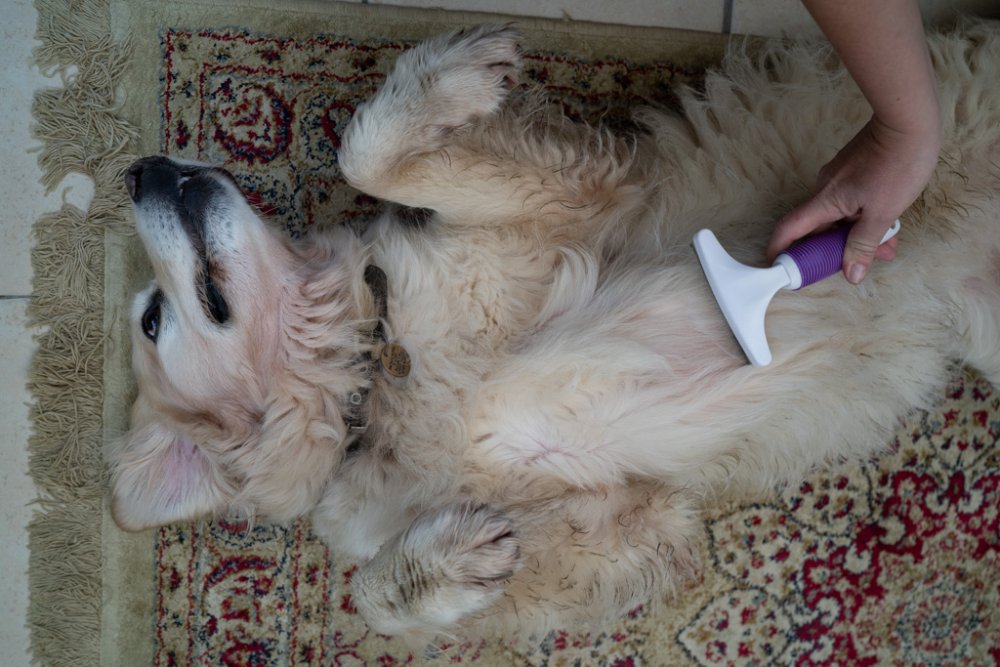 MOULT CONTROLLER LRG
