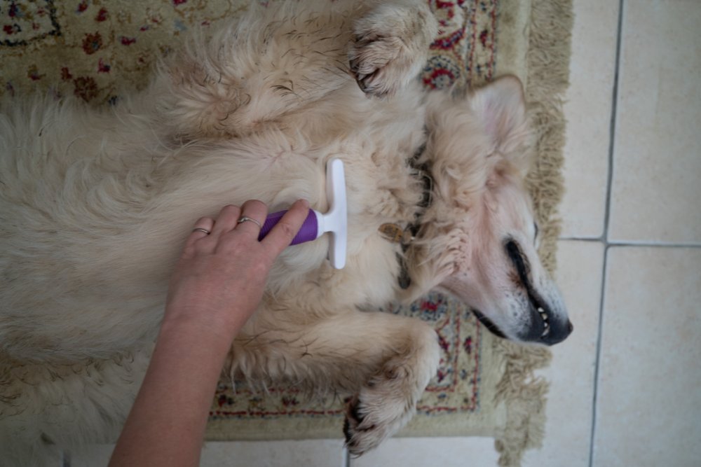 MOULT CONTROLLER LRG