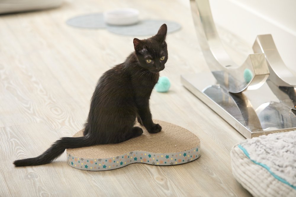 LITTLE PETFACE CARDBOARD HEART CAT SCRATCHER