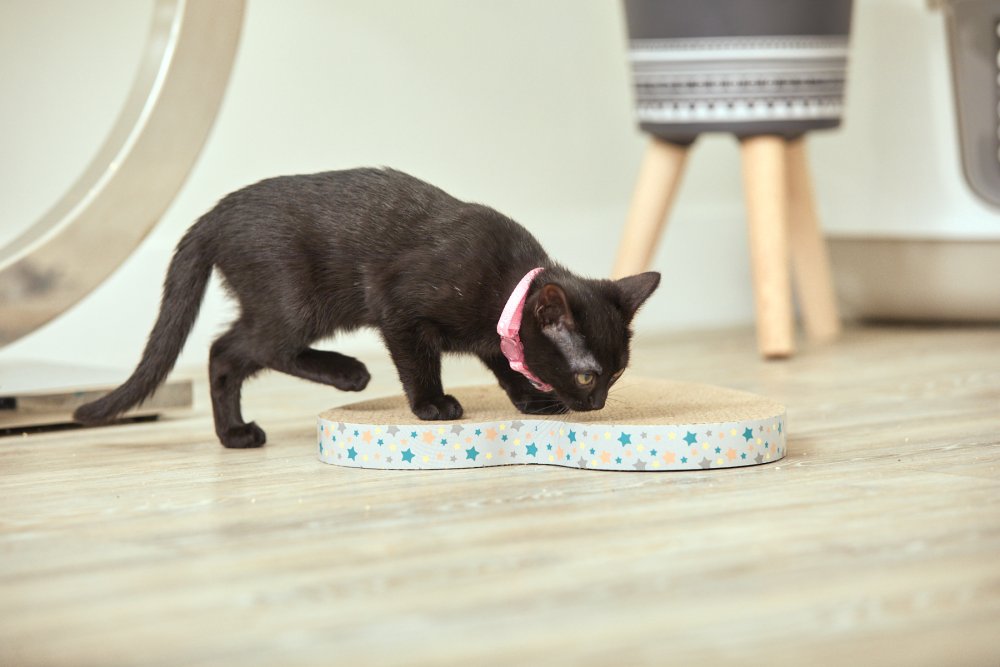 LITTLE PETFACE CARDBOARD HEART CAT SCRATCHER
