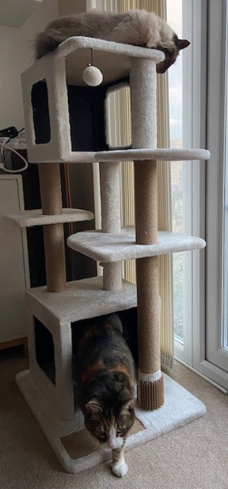 MULTI LEVEL CAT SCRATCH POST ACTIVITY TOWER