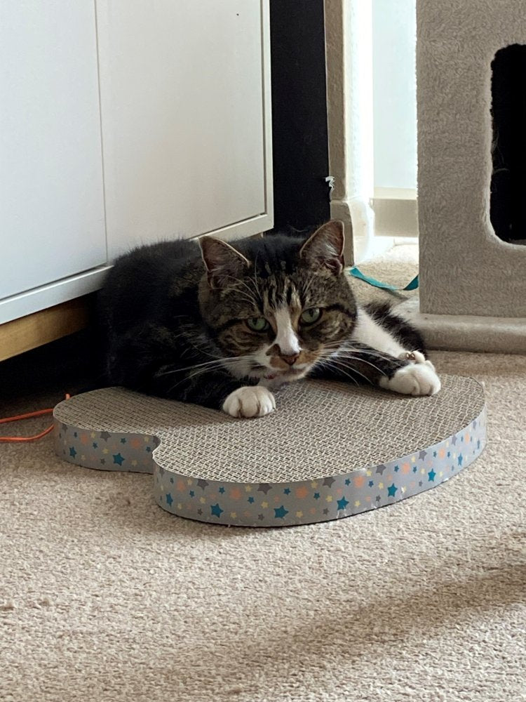 LITTLE PETFACE CARDBOARD HEART CAT SCRATCHER