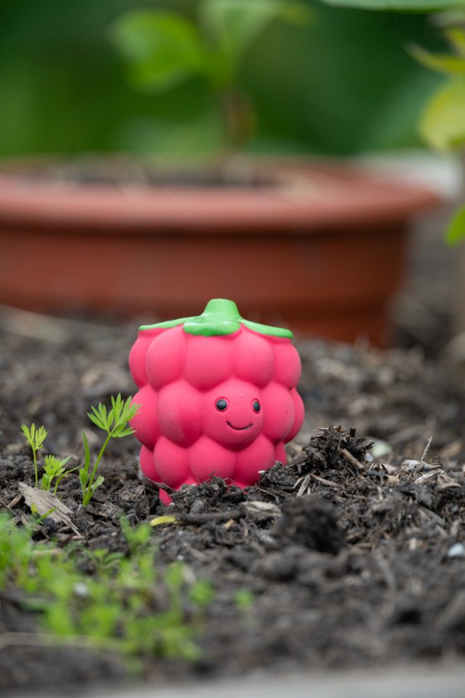 FOODIE FACES LATEX RASPBERRY DOG TOY SML
