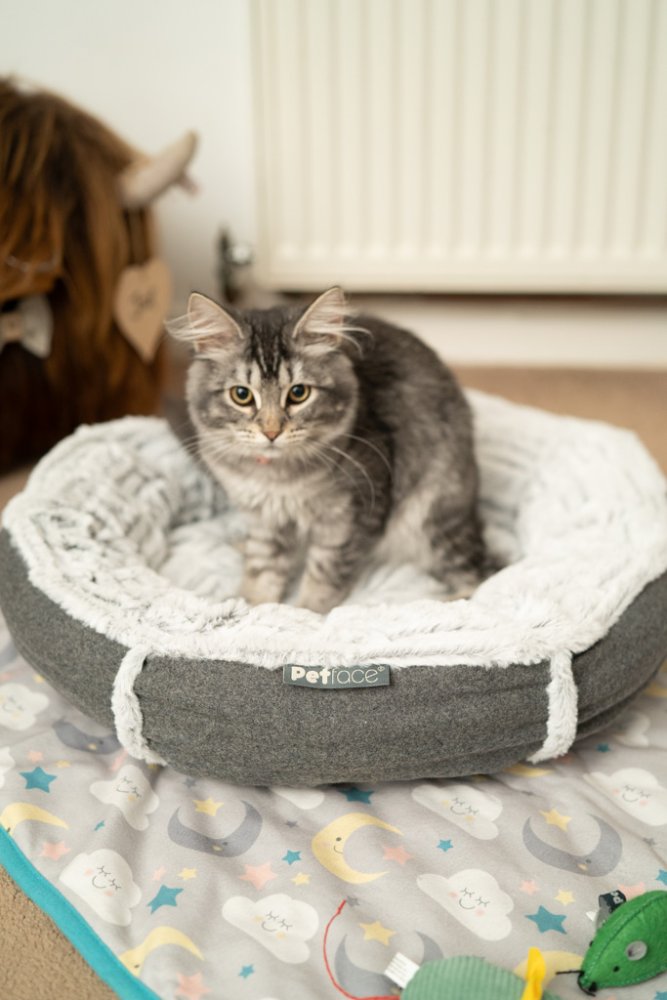 GRAPHITE GREY FELT DONUT PET BED