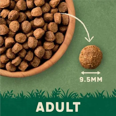 Harringtons Adult Dry Dog Food Complete Lamb Rice