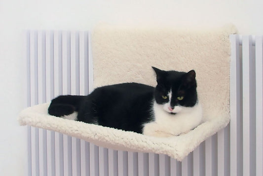CAT RADIATOR BED