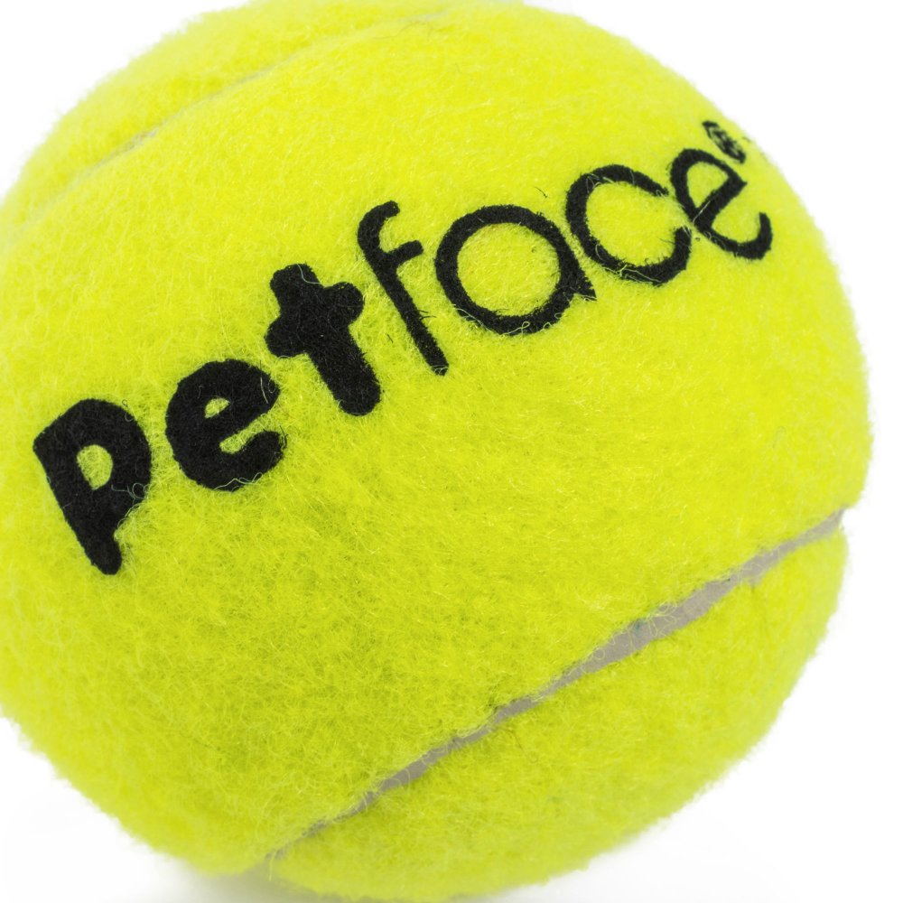 3 PACK TENNIS BALLS DOG TOY