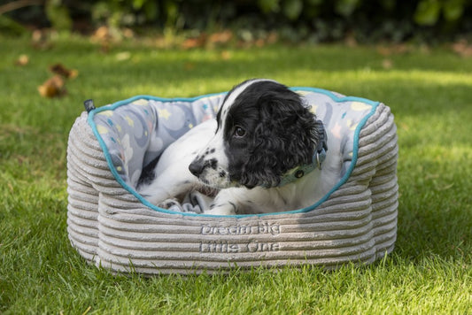LITTLE PETFACE OVAL PET BED