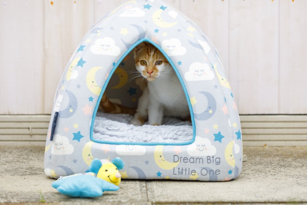 LITTLE PETFACE IGLOO Cat Bed Cave