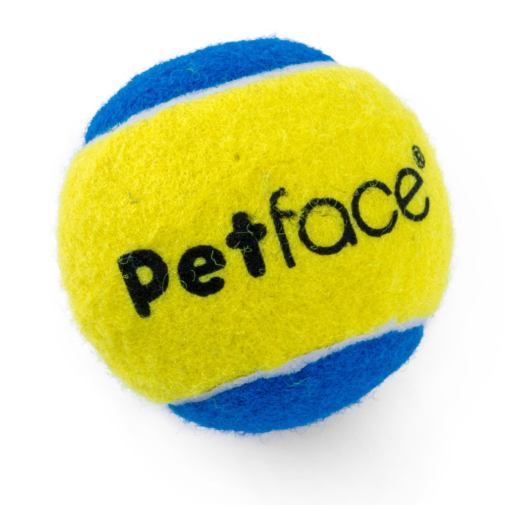 3 PACK SQUEAKY TENNIS BALLS DOG TOY