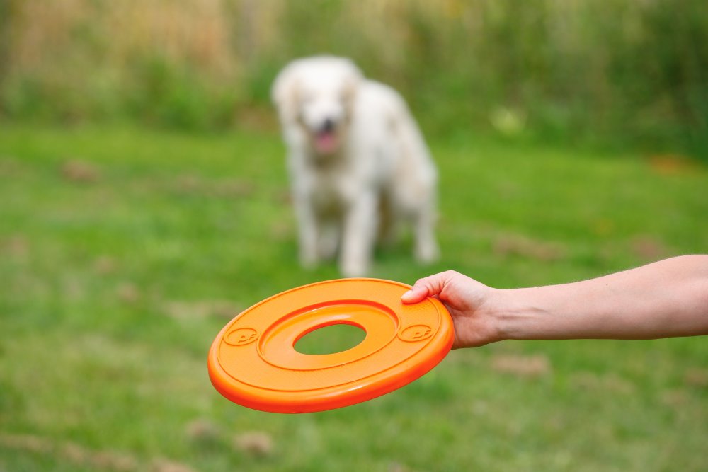 SERIOUSLY STRONG FLYER DOG TOY