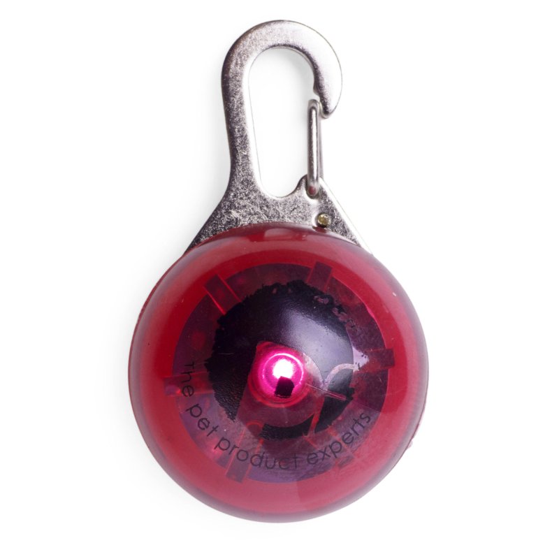 OUTDOOR PAWS FLASH TAG RED