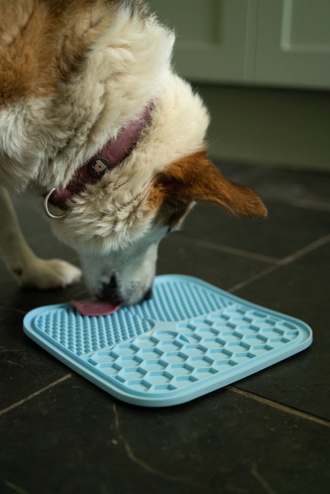 SILICONE PET TREAT MAT 2 PACK