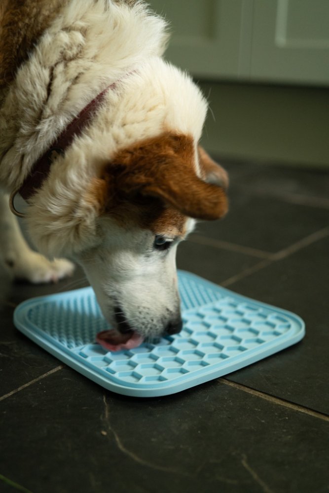 SILICONE PET TREAT MAT 2 PACK