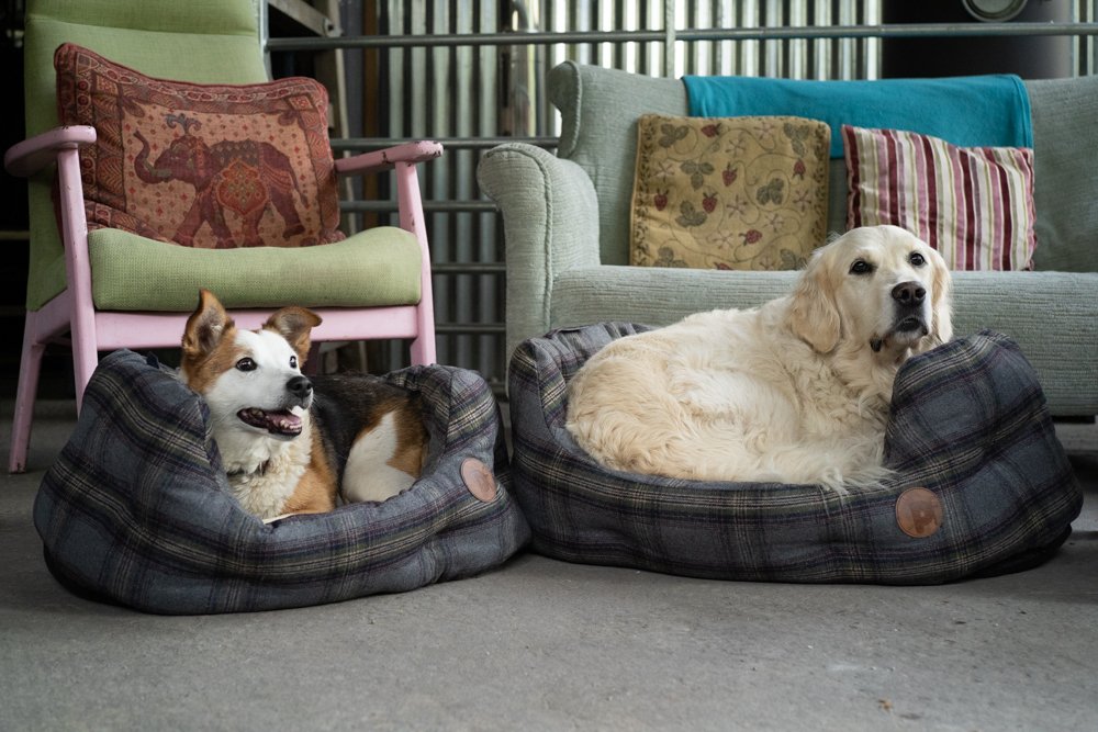 GREY TWEED OVAL PET BED MED