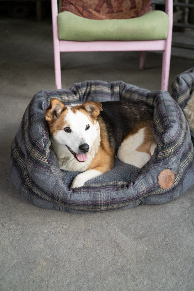 GREY TWEED OVAL PET BED MED