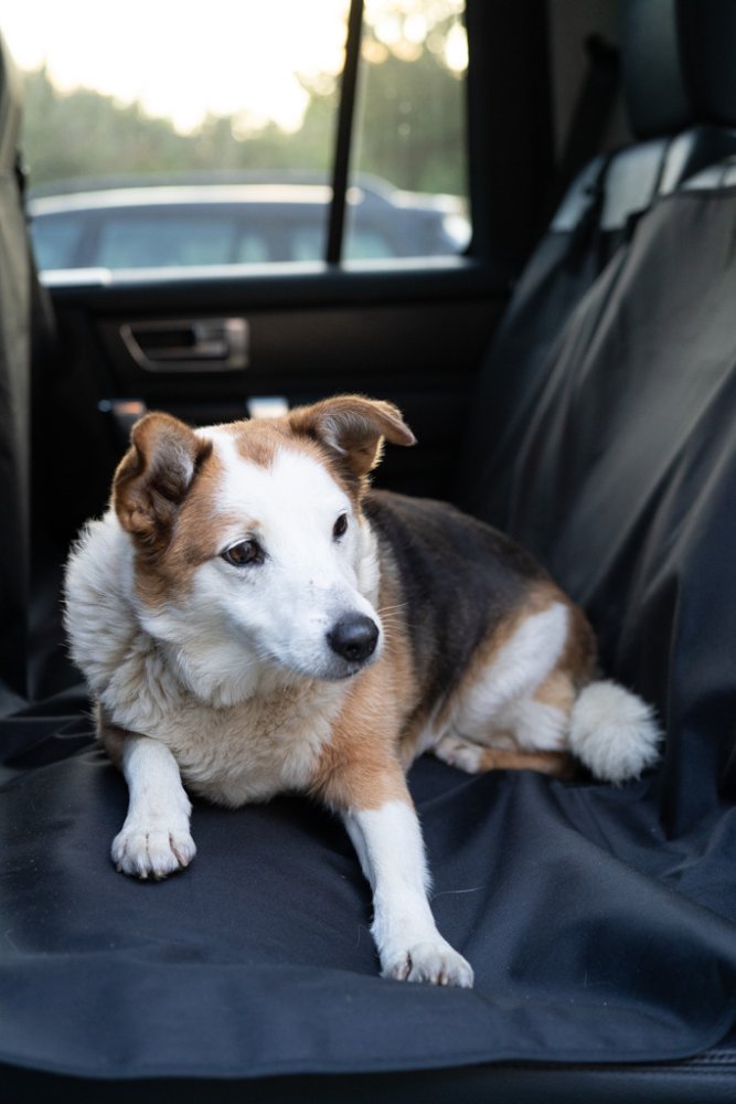WATER RESISTANT REAR CAR SEAT COVER