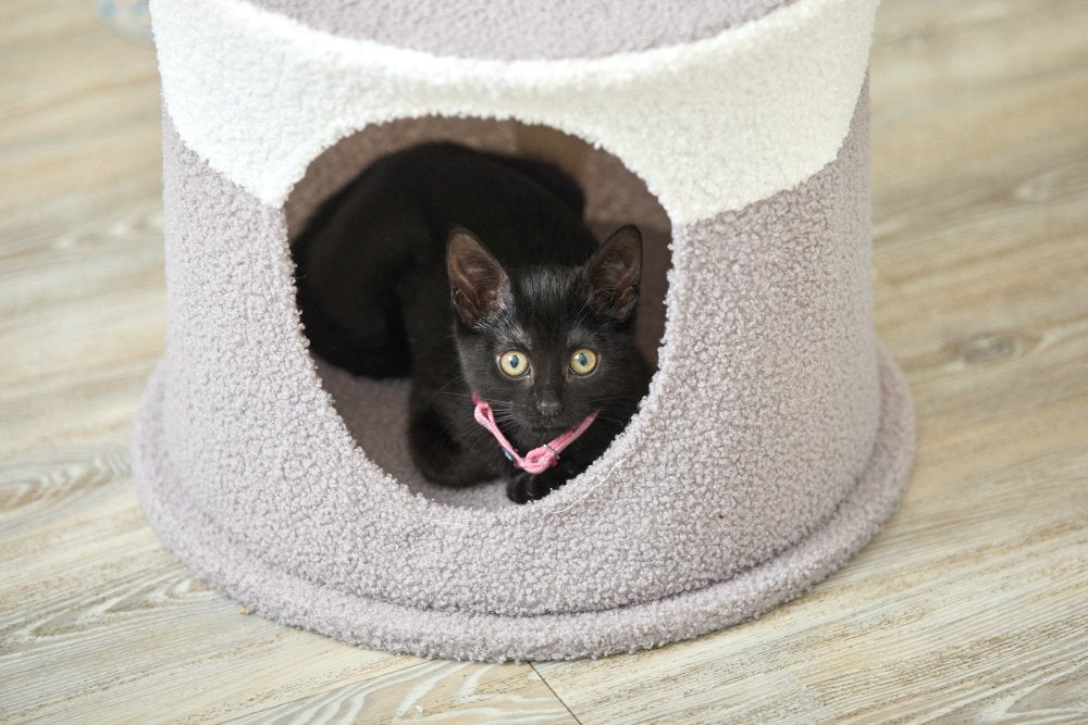TEDDY FLEECE CAT HIDE WITH SCRATCH POST AND PLATFORM BED