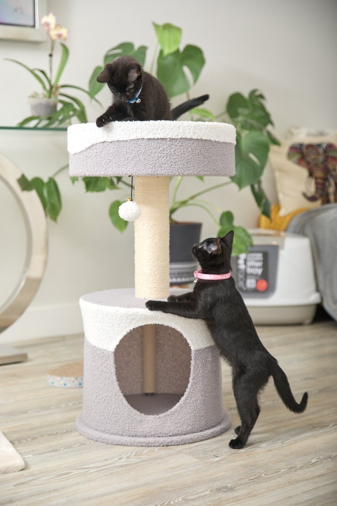 TEDDY FLEECE CAT HIDE WITH SCRATCH POST AND PLATFORM BED