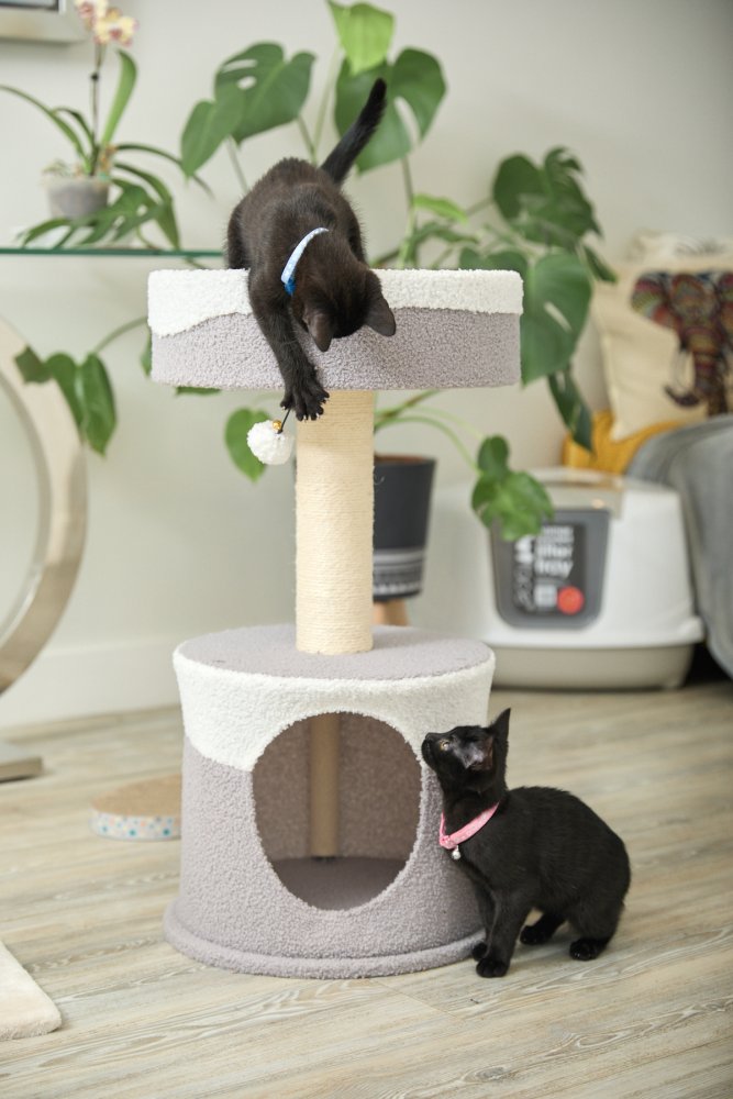 TEDDY FLEECE CAT HIDE WITH SCRATCH POST AND PLATFORM BED