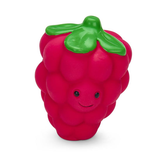 FOODIE FACES LATEX RASPBERRY DOG TOY SML