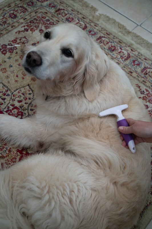 MOULT CONTROLLER LRG