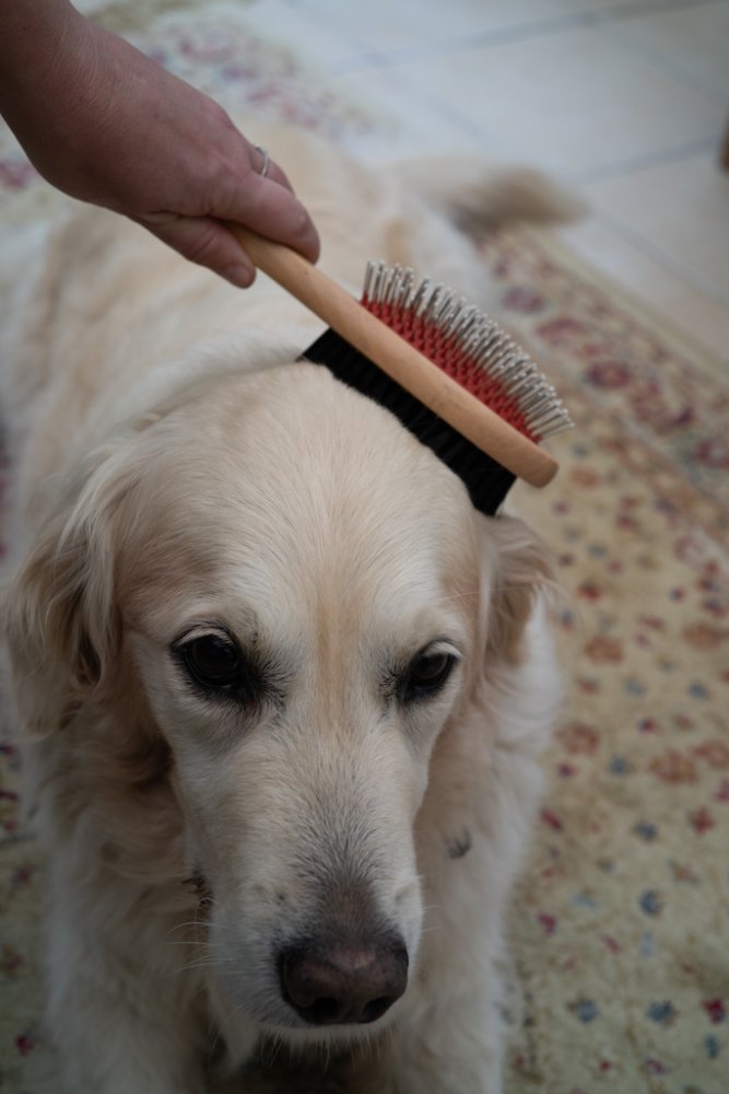 WOODEN DOUBLE SIDED BRUSH