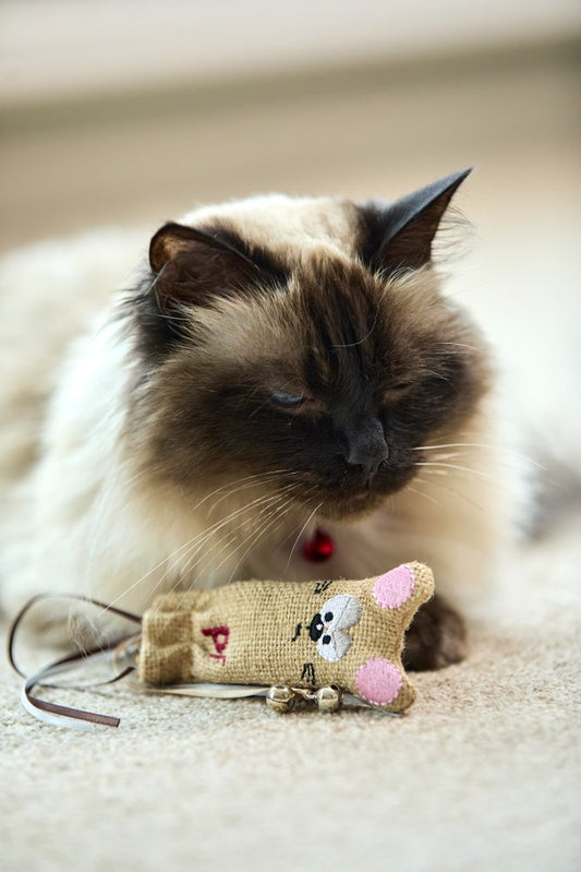 ANGRY MOUSE CATNIP SOCK CAT TOY
